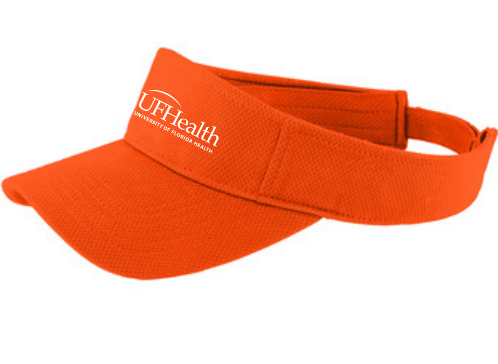 Visor